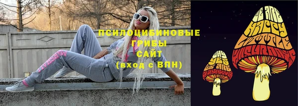 ALPHA PVP Богородицк